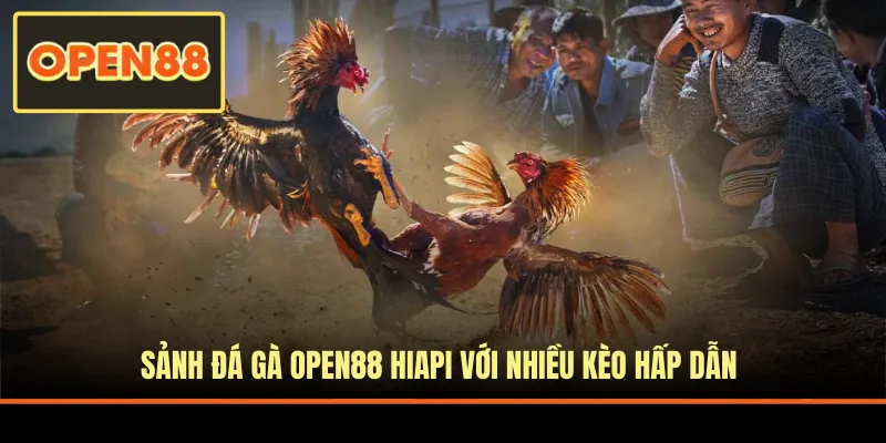 Sảnh đá gà HiAPI với nhiều kèo hấp dẫn